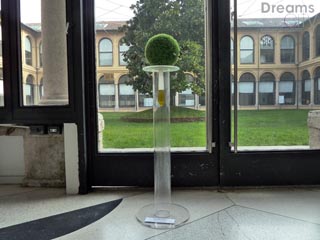 Colonna di vita alle Stelline di Milano